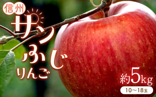 りんご サンふじ 5kg (10～18玉) 780959 - 長野県千曲市