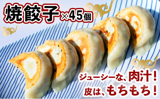 《餃子のかわしも》お徳用手作り点心2種セット(焼餃子35g×45ヶ、焼売30g×35ヶ)|