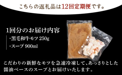 【全12回定期便】佐賀県産黒毛和牛 もつ鍋セット 2～3人前【山下牛舎】 [HAD142]