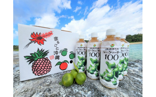 無添加 果汁100 シークヮーサー100 12本セット 沖縄県東村 ふるさとチョイス ふるさと納税サイト