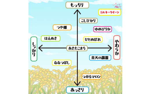 新米 お米 ミルキークイーン 5kg 令和5年産 精米 徳島県 阿波市 - 徳島