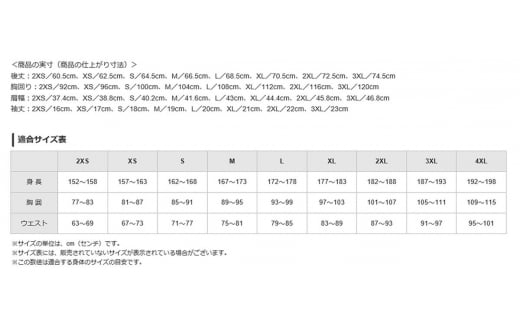 C0-117-06 《霧島市ふるさと納税限定品》ミズノ・薩摩切子柄ポロシャツ