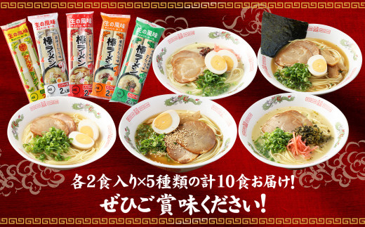 香春町限定】大人気!福岡 5つの味を楽しめる 棒ラーメン 5種 アソート