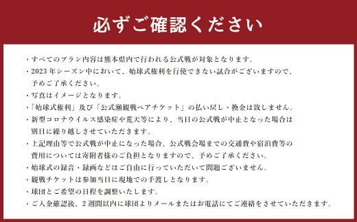 火の国サラマンダーズ 公式戦始球式権利及び公式戦観戦ペアチケット付