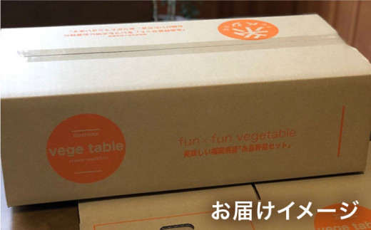 野菜 やさい 詰め合わせ セット 旬 イタリア オーガニック 根菜 果菜