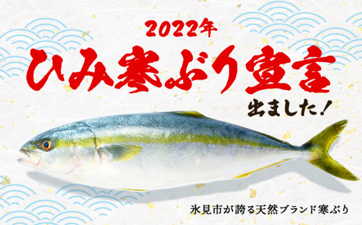 天然寒鰤 ひみ寒ぶり 一本丸ごと便 配送エリア限定 富山県氷見市 ふるさとチョイス ふるさと納税サイト