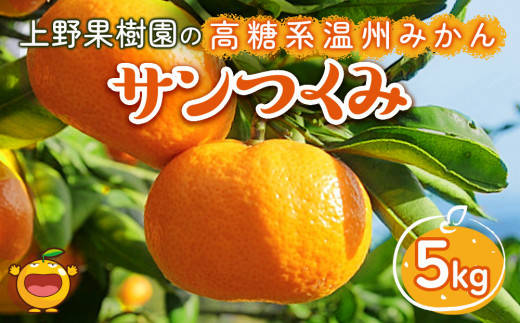 【先行予約】上野果樹園の高糖系温州みかん「サンつくみ」 5kg ミカン おうしゅうみかん 蜜柑 果実 フルーツ大分県産 九州産 津久見市 国産