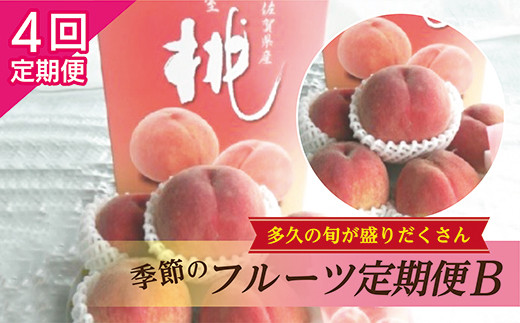 【数量限定】季節のフルーツ定期便B【4回お届け】