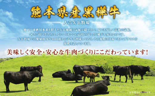 くまもと黒毛和牛 杉本本店 黒樺牛 A4～A5等級 すき焼き用スライス盛合わせセット 総重量650g