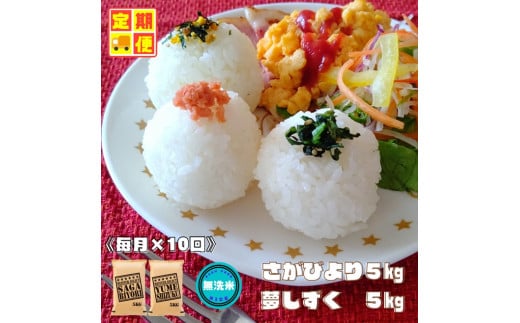 CI373_【無洗米食べ比べ！】さがびより５㎏夢しずく５㎏【１０回定期便】