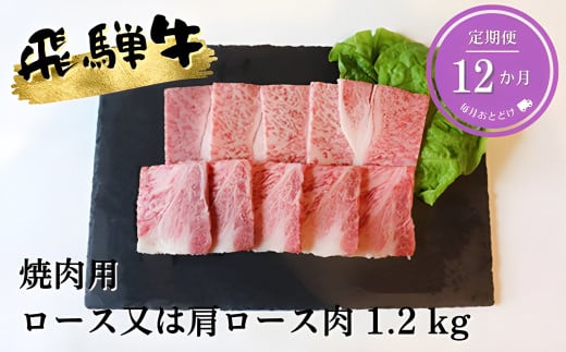 【12ヶ月定期便】A5等級飛騨牛焼き肉用1.2kg ロース又は肩ロース肉