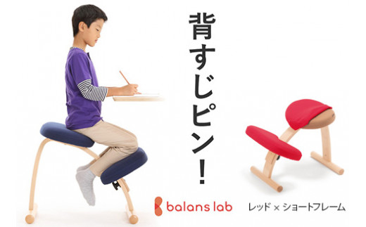 ラクに姿勢がよくなる 【バランス イージー(カバー付き)】姿勢矯正