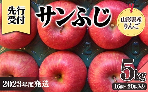 《先行予約》2023年度発送 山形県産りんご(サンふじ) 5kg(16個～20個入り) FSY-0354 987383 - 山形県山形県庁