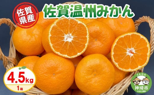 【令和6年11月より発送】佐賀温州みかん(1箱 4.5kg)【フルーツ 佐賀 佐賀県産 早生みかん 温州みかん ギフト 贈答 プレゼント】 (H072107)