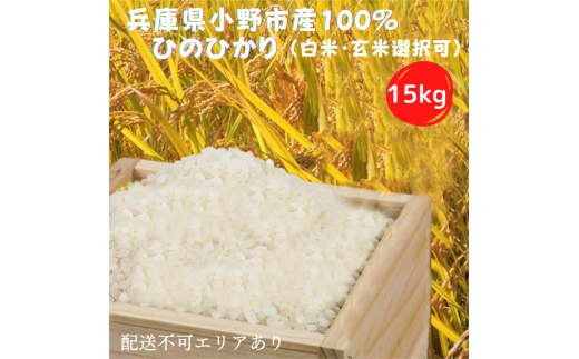 兵庫県小野市産100％ ひのひかり お米 15kg 玄米《令和4年産》 571391 - 兵庫県小野市