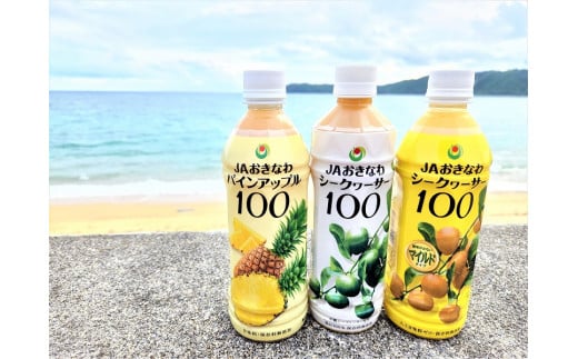 無添加・果汁100%　3種類セット　 810761 - 沖縄県東村