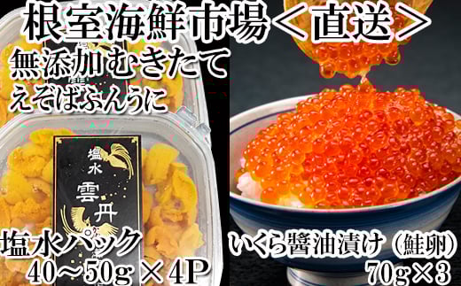 F-28005 根室海鮮市場＜直送＞無添加エゾバフンウニ塩水パック40～50g×4P、いくら醤油漬け(鮭卵)70g×3P
