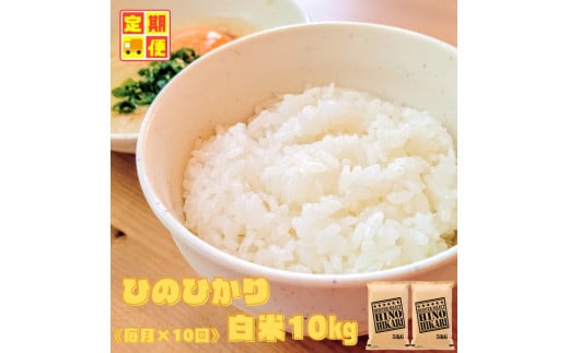 CI371_【１０回定期便】ヒノヒカリ白米１０ｋｇ（５ｋｇ×２袋）