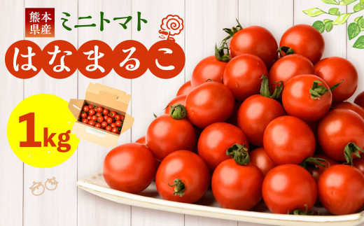 熊本県産 ミニトマト はなまるこ 1kg