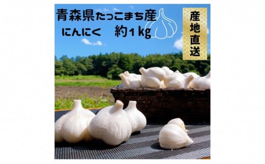 青森県田子町産にんにく(乾燥) B品 M＆Lサイズ 約1kg|KASANOVA