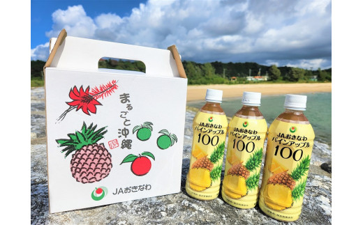 【無添加・果汁100%】パインアップル100　3本セット