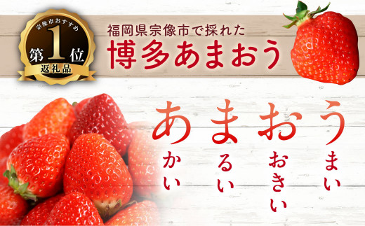 最終値下げ】冷凍完熟博多あまおうのみ 約10キロ - 果物