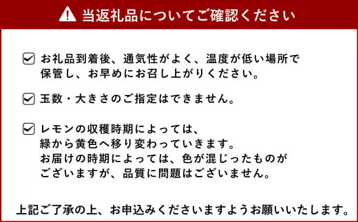 【2023年9月上旬～順次発送予定】マイヤーレモン 3kg(25玉～30玉) ひかる農園