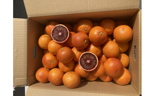 【2023年2月下旬発送開始】熊本産 ブラッドオレンジ 4キロ前後 オレンジ 果物 フルーツ