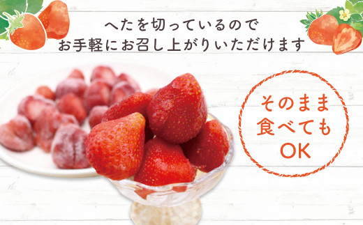 冷凍 博多あまおう 大容量 800g×2 計1.6kg_KA0266