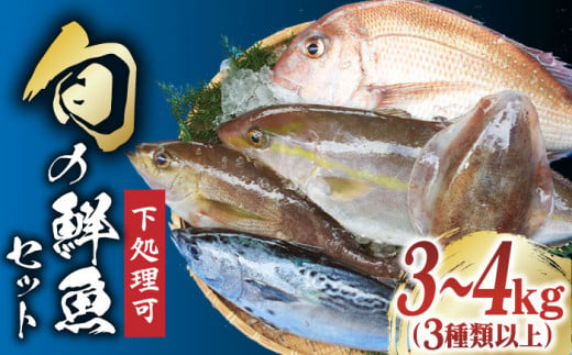 【下処理可】 五島列島産 旬の鮮魚 セット 3種類以上（3～4kg）【有川町漁業協同組合】 [RBH002] 801644 - 長崎県新上五島町