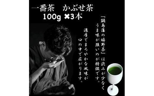 嬉野茶　かぶせ玉緑茶１００ｇ×３本（A6305-08） 796895 - 佐賀県佐賀県庁