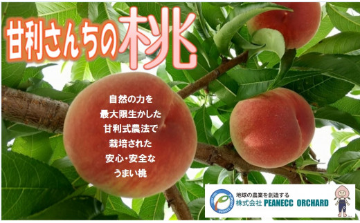 B-835．【2023年先行予約】甘利さんちの桃（PNC）