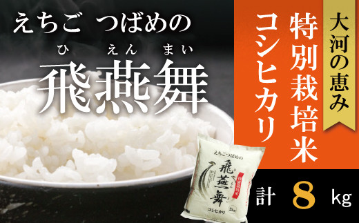 令和6年産 厳選コシヒカリ えちごつばめの飛燕舞 白米8kg FC020257 375547 - 新潟県燕市