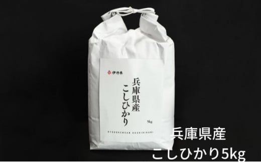 お米 令和5年産兵庫県北産コシヒカリ5kg [№5275-0201] 755893 - 兵庫県伊丹市