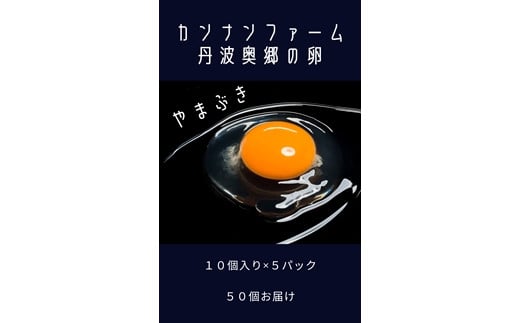丹波奥郷の卵　やまぶき　４５個+５個破卵補償　(約3㎏） 654316 - 兵庫県丹波市