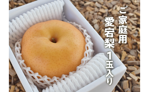KF-C003【きよとうファーム】あたご梨 ご家庭用１玉入 /１kg~ (岡山県産) 576192 - 岡山県真庭市
