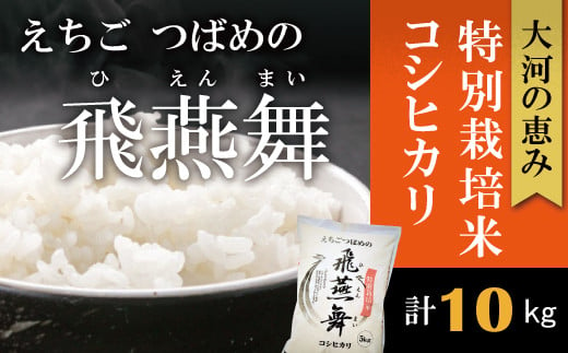 令和6年産 厳選コシヒカリ えちごつばめの飛燕舞 白米10kg FC023026 375548 - 新潟県燕市