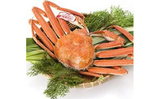 【和星水産】タグ付きボイル松葉ガニ１枚（８００ｇ以上）【年内配送】