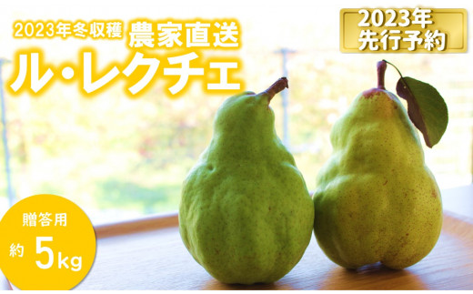 KL04-23A【先行予約】洋梨 ル・レクチェ（大玉）約5kg 贈答／2023年11月中旬頃から配送