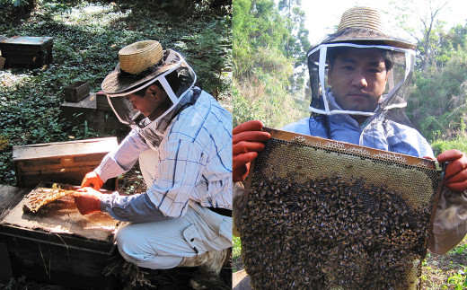 国産（熊本県産）百花蜜 1200g 1本 はちみつ 蜂蜜 福永養蜂農園