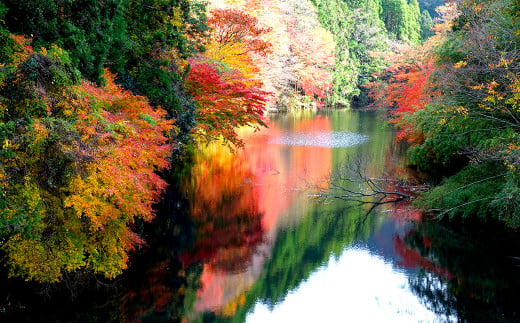 秋の四方木地区では、美しい瀑布と共に情緒あふれる景色がお楽しみいただけます。