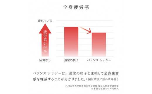 ふるさと納税 バランス シナジー(カバー付き)スクエアシート 本体