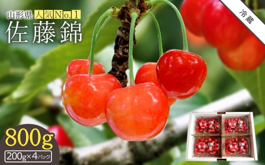 【2023年6月発送分先行受付】さくらんぼ佐藤錦800g(ML混合・200g×4パック詰)_H042(R5)