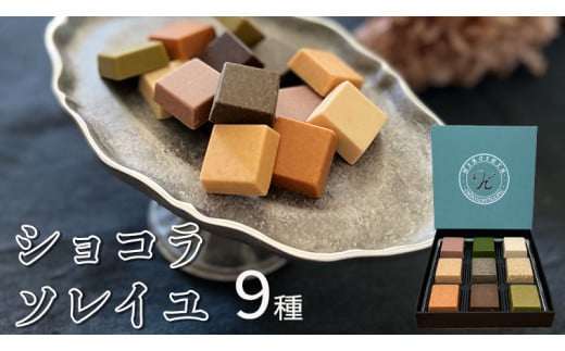 ショコラソレイユ 9種 チョコレート チョコ スイーツ デザート 高級 ギフト 贈り物 お礼 プレゼント 手土産 お菓子