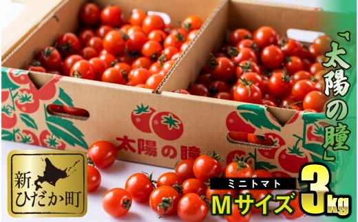 北海道産 高糖度ミニトマト 約3kg＜2024年7月中旬～順次出荷＞｜トマト 