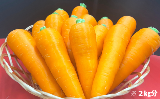 日本を平和にする人参 Peace Carrots 約２ セット 人参 約2kg 栽培期間中 農薬不使用 にんじん ニンジン 野菜 カロテン 食物繊維 栽培期間中農薬不使用 徳島県海陽町 ふるさとチョイス ふるさと納税サイト