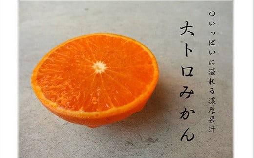 愛知県豊橋市のふるさと納税 ≪先行予約≫ 大トロみかん『木熟せとか』レギュラー箱　厳選プレミアム　4.2Kg