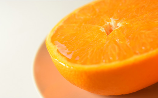 【高知県大月町産】柑橘の大トロ　「せとか 3kg」（ハウス栽培）