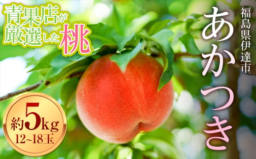 福島の桃 青果店が厳選した桃 あかつき約5kg（12～18玉） 先行予約 フルーツ 果物 もも モモ momo F20C-668 599263 - 福島県伊達市