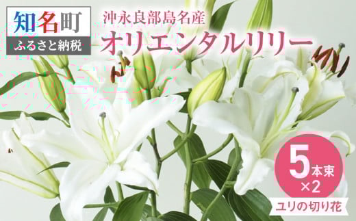 ユリの切り花オリエンタルリリー沖永良部島名産5本束×2(12月中旬から5月中旬) C048-001 1070823 - 鹿児島県知名町